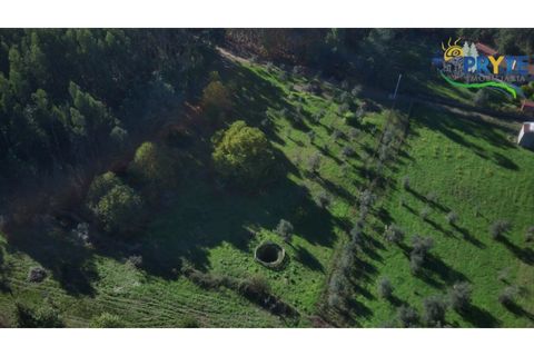 Ruïna a Cabecudo, Castelo Branco, Cabecudo - € 26.000 | Ref: RF75 - foto 7