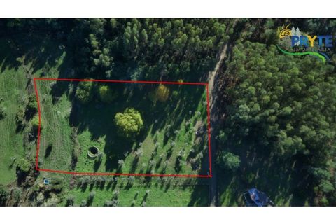 Ruïna a Cabecudo, Castelo Branco, Cabecudo - € 26.000 | Ref: RF75 - foto 8