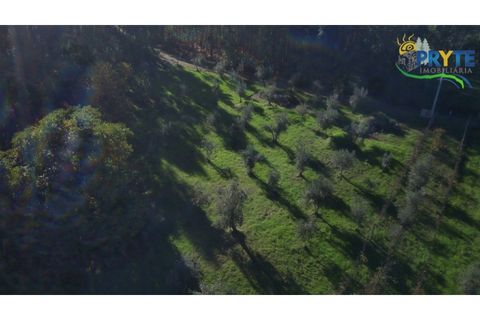 Ruïna a Cabecudo, Castelo Branco, Cabecudo - € 26.000 | Ref: RF75 - foto 9