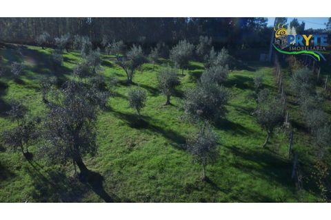 Ruïna a Cabecudo, Castelo Branco, Cabecudo - € 26.000 | Ref: RF75 - foto 10