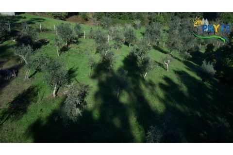 Ruïna a Cabecudo, Castelo Branco, Cabecudo - € 26.000 | Ref: RF75 - foto 11