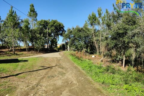 Ruïna a Cabecudo, Castelo Branco, Cabecudo - € 26.000 | Ref: RF75 - foto 12