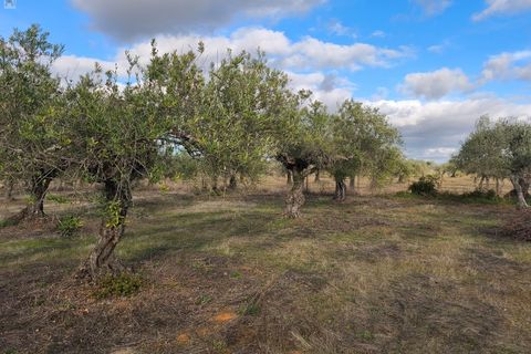 Helårsgrund i Elvas, Portalegre, Elvas - € 12.000 | Ref: SÒL_163 - foto 3