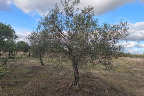 Helårsgrund i Elvas, Portalegre, Elvas - € 12.000 | Ref: SÒL_163 - foto 6
