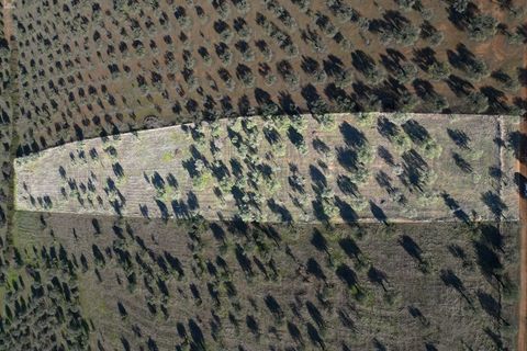 Helårsgrund i Elvas, Portalegre, Elvas - € 12.000 | Ref: SÒL_163 - foto 4