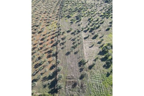 Helårsgrund i Elvas, Portalegre, Elvas - € 12.000 | Ref: SÒL_163 - foto 7