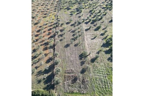 Helårsgrund i Elvas, Portalegre, Elvas - € 12.000 | Ref: SÒL_163 - foto 2