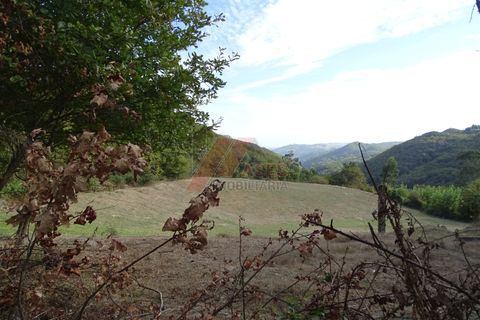 Villa a Fafe, Braga, Fafe - € 37.500 | Ref: 002-321 - foto 16