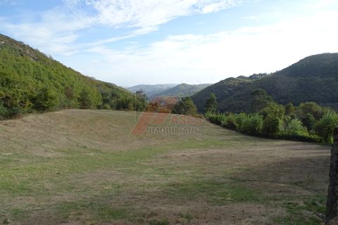 Villa a Fafe, Braga, Fafe - € 37.500 | Ref: 002-321 - foto 19