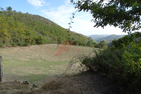 Villa a Fafe, Braga, Fafe - € 37.500 | Ref: 002-321 - foto 21