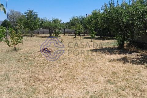 Byhus i Fundao, Castelo Branco, Fundao - € 535.000 | Ref: 1110681 - foto 15