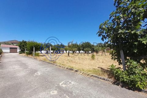 Byhus i Fundao, Castelo Branco, Fundao - € 535.000 | Ref: 1110681 - foto 16