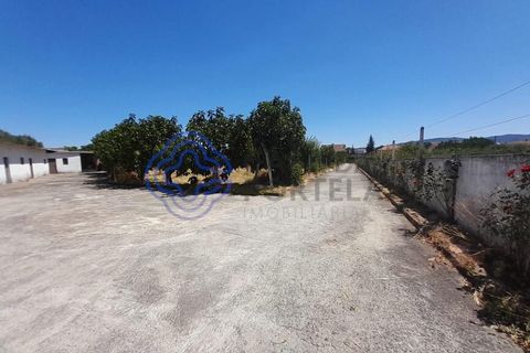 Byhus i Fundao, Castelo Branco, Fundao - € 535.000 | Ref: 1110681 - foto 17
