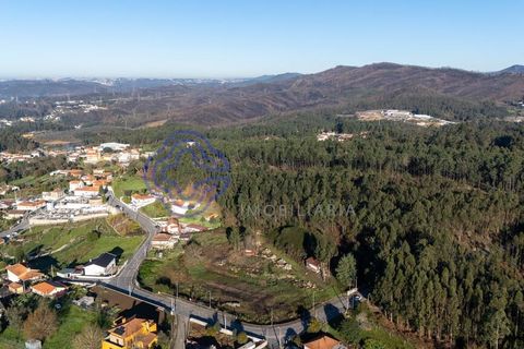 Helårsgrund i Gondomar, Porto, Gondomar - € 44.500 | Ref: 1115031 - foto 17