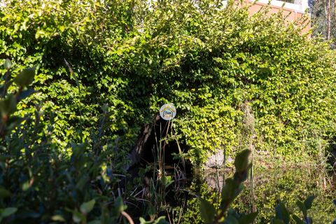 Bungalow i Barcelos, Braga, Barcelos - € 1.500.000 | Ref: 5TC4056 - foto 30