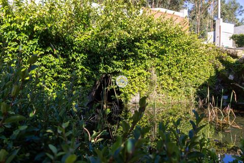 Bungalow i Barcelos, Braga, Barcelos - € 1.500.000 | Ref: 5TC4056 - foto 31