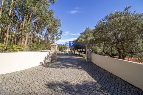 Masia a Monchique, Faro, Monchique - € 1.295.000 | Ref: PPM805-V - foto 13