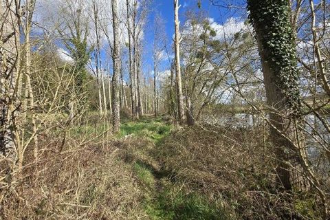 Helårsgrund i Fontgombault, Indre, Fontgombault - € 7.500 | Ref: 3011441980 - foto 6