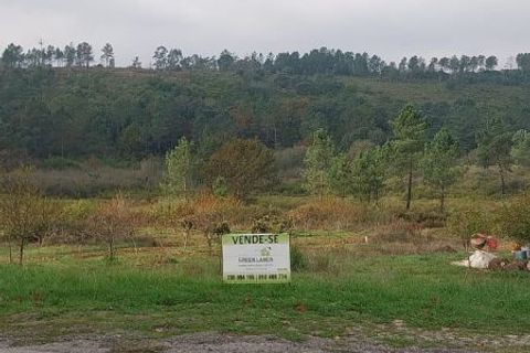 Helårsgrund i Arganil, Coimbra, Arganil - € 32.500 | Ref: 689 - foto 6