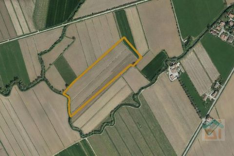 Terra a Ruda, Udine, Ruda - € 470.500 | Ref: 3CRL470NC2 - foto 13