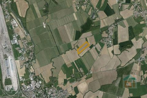 Terra a Ruda, Udine, Ruda - € 470.500 | Ref: 3CRL470NC2 - foto 14
