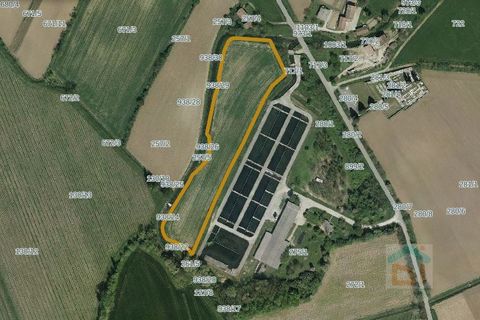 Terra a Ruda, Udine, Ruda - € 65.000 | Ref: 3CRL65NC2 - foto 5