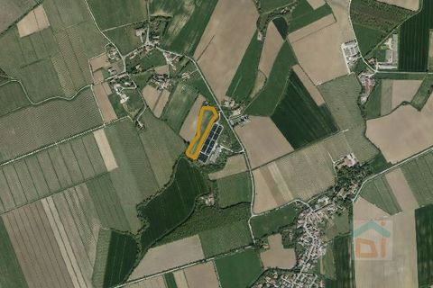 Terra a Ruda, Udine, Ruda - € 65.000 | Ref: 3CRL65NC2 - foto 14