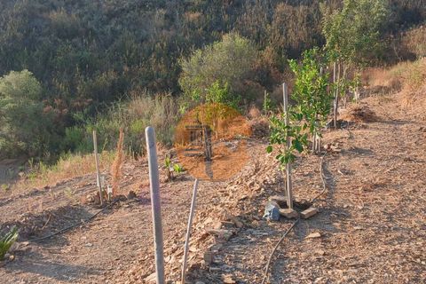 Helårsgrund i Castro Marim, Faro, Castro Marim - € 130.000 | Ref: SU-CS-TR-93733 - foto 5