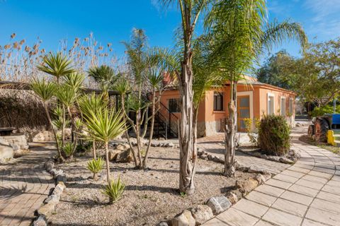 Masia a Catral, Alicante, Catral - € 975.000 | Ref: QMS-76807 - foto 49
