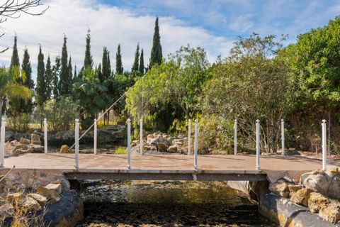 Herregård i Catral, Alicante, Catral - € 975 000 | Ref: QMS-76807 - foto 34