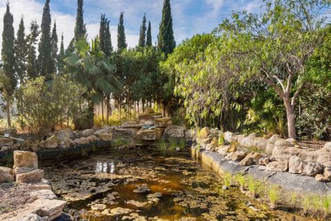 Herregård i Catral, Alicante, Catral - € 975 000 | Ref: QMS-76807 - foto 35