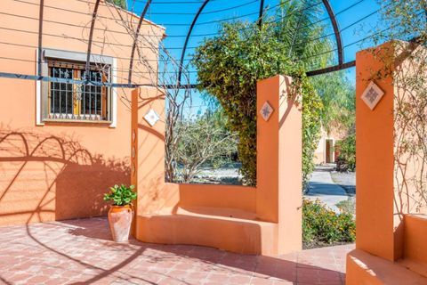 Herregård i Catral, Alicante, Catral - € 975 000 | Ref: QMS-76807 - foto 37