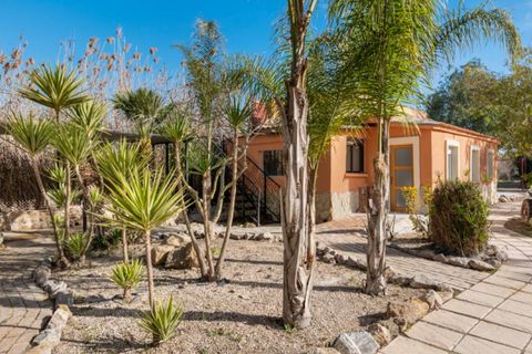 Herregård i Catral, Alicante, Catral - € 975 000 | Ref: QMS-76807 - foto 49