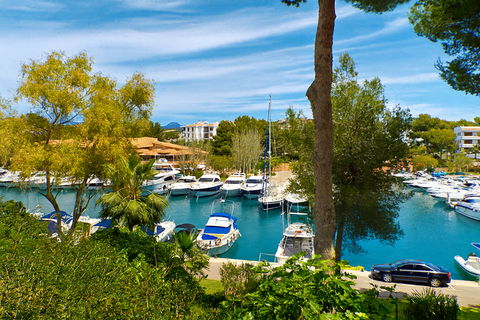 Helårsgrund i Santa Ponsa, Mallorca, Santa Ponsa - € 1.000.000 | Ref: FALC-AsSa-72403 - foto 3