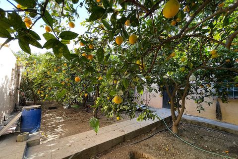 Byhus i Pechina, Almeria, Pechina - € 209.000 | Ref: CAL449-25 - foto 8