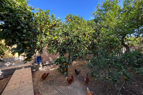 Byhus i Pechina, Almeria, Pechina - € 209.000 | Ref: CAL449-25 - foto 10