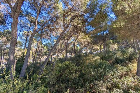 Villa a Moraira, Alicante, Moraira - € 4.500.000 | Ref: BG330391A - foto 7