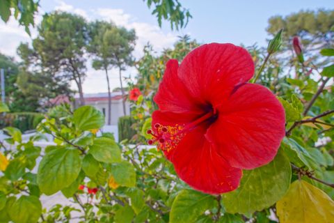 Villa a Denia, Alicante, Denia - € 1.060.000 | Ref: BG13769N - foto 49