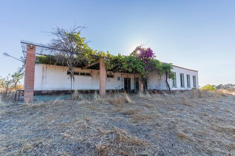 Finca i Huelva, Huelva, Huelva - € 945.000 | Ref: 1048 - foto 7