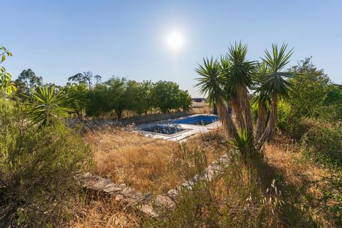 Finca i Huelva, Huelva, Huelva - € 945.000 | Ref: 1048 - foto 23