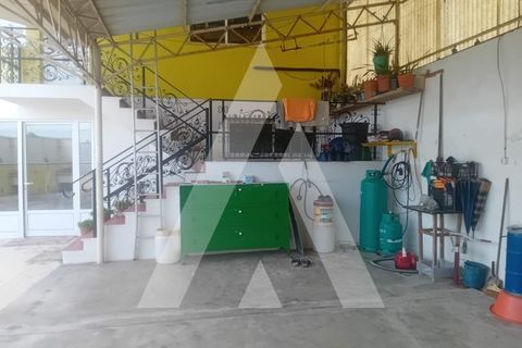 Villa i Oliveira do Bairro, Aveiro, Oliveira do Bairro - € 535.000 | Ref: 1051368/25 OB - foto 3