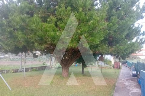Villa i Oliveira do Bairro, Aveiro, Oliveira do Bairro - € 535.000 | Ref: 1051368/25 OB - foto 35