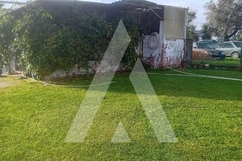 Villa i Oliveira do Bairro, Aveiro, Oliveira do Bairro - € 535.000 | Ref: 1051368/25 OB - foto 39