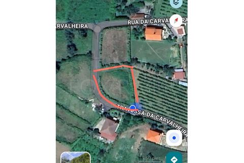 Helårsgrund i Moncao, Viana do Castelo, Moncao - € 28.000 | Ref: UNU-F1-08-14 - foto 2