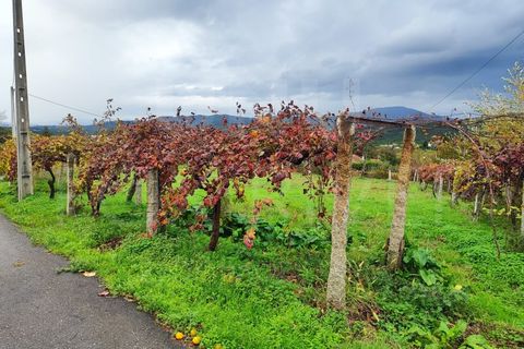 Helårsgrund i Moncao, Viana do Castelo, Moncao - € 28.000 | Ref: UNU-F1-08-14 - foto 4