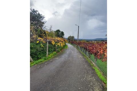 Helårsgrund i Moncao, Viana do Castelo, Moncao - € 28.000 | Ref: UNU-F1-08-14 - foto 5