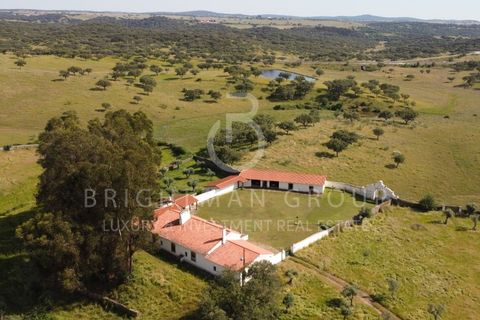 Farm i Crato, Portalegre, Crato - € 990.000 | Ref: M0438.MS.LX - foto 21