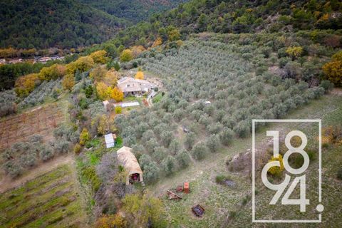 Villa i Manosque, Alpes-de-Haute-Provence, Manosque - € 776.000 | Ref: R69W-OSF-ITK - foto 15