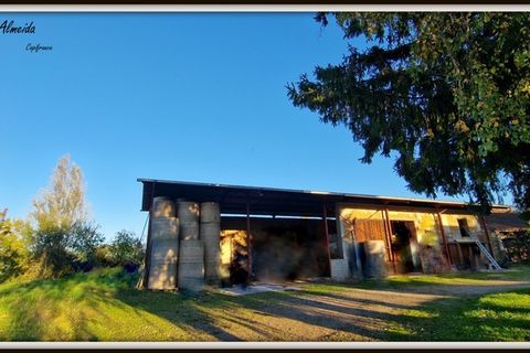 Farm i Biziat, Ain, Biziat - € 649.000 | Ref: 340934873815 - foto 21