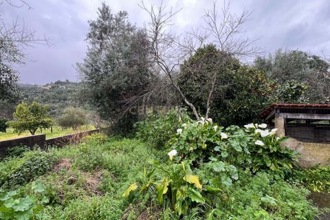 Villa i Serra, Santarem, Serra - € 95.000 | Ref: C0246-03320 - foto 16